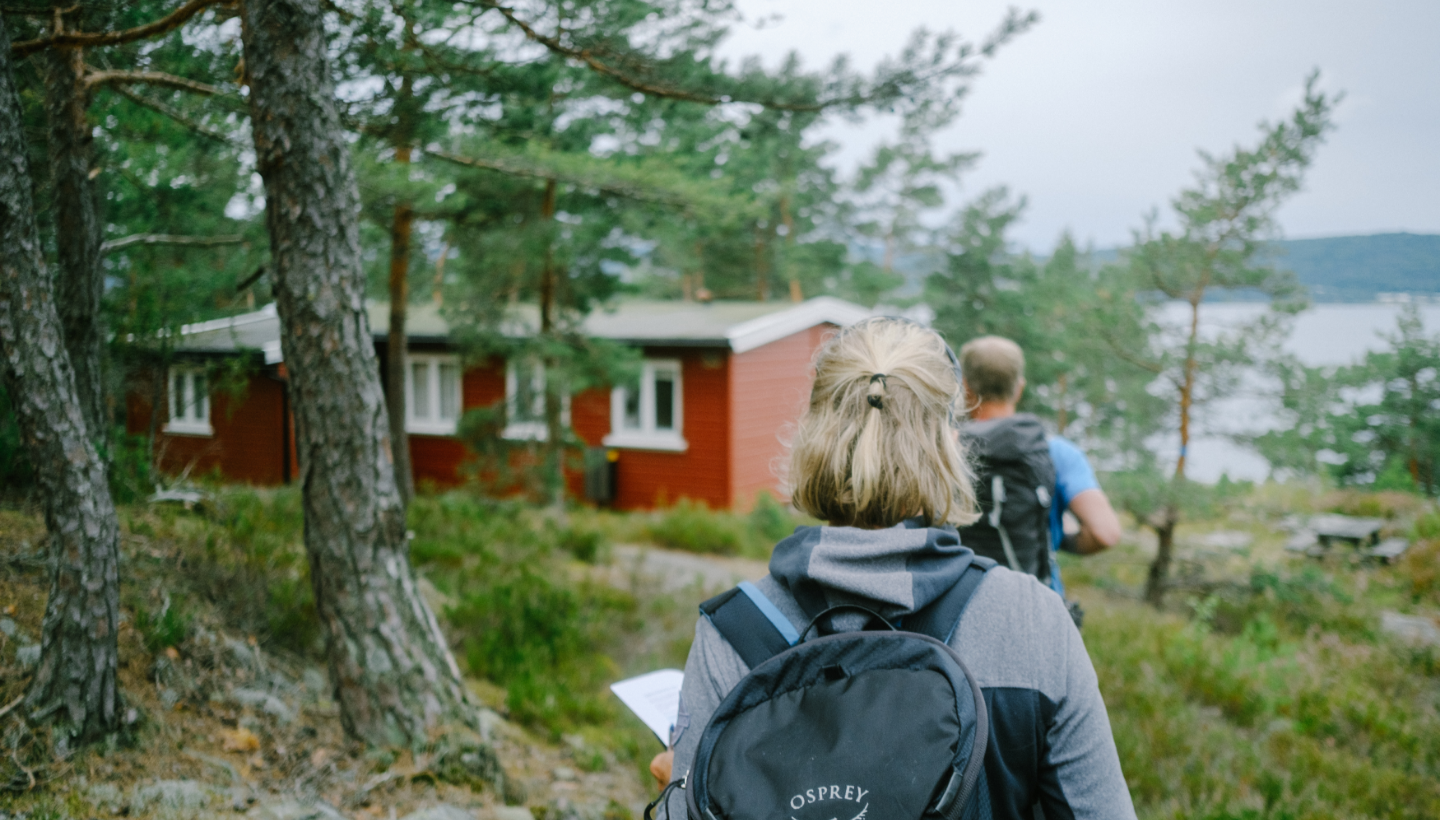 Om Lågøya - Lågøya