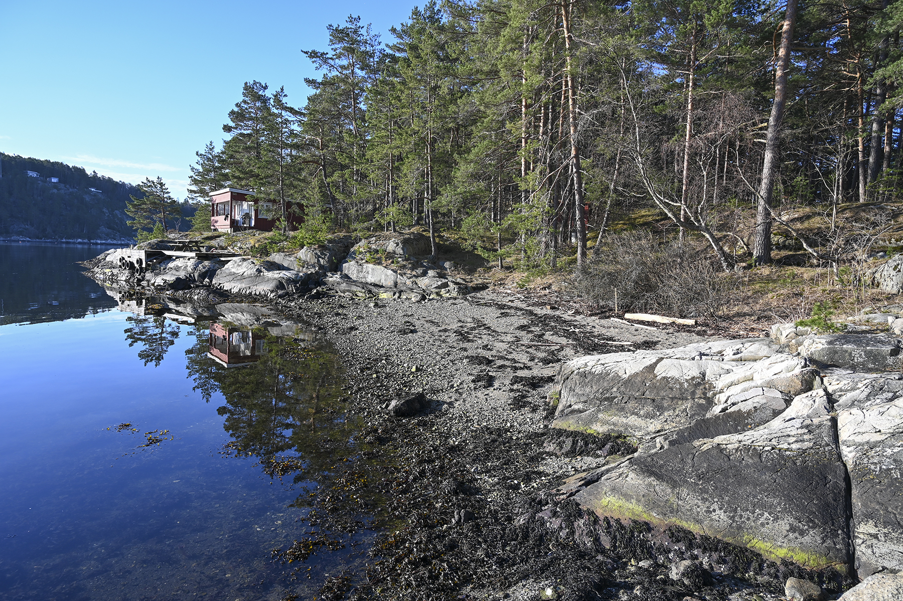 Opplevelser og aktiviteter på Lågøya