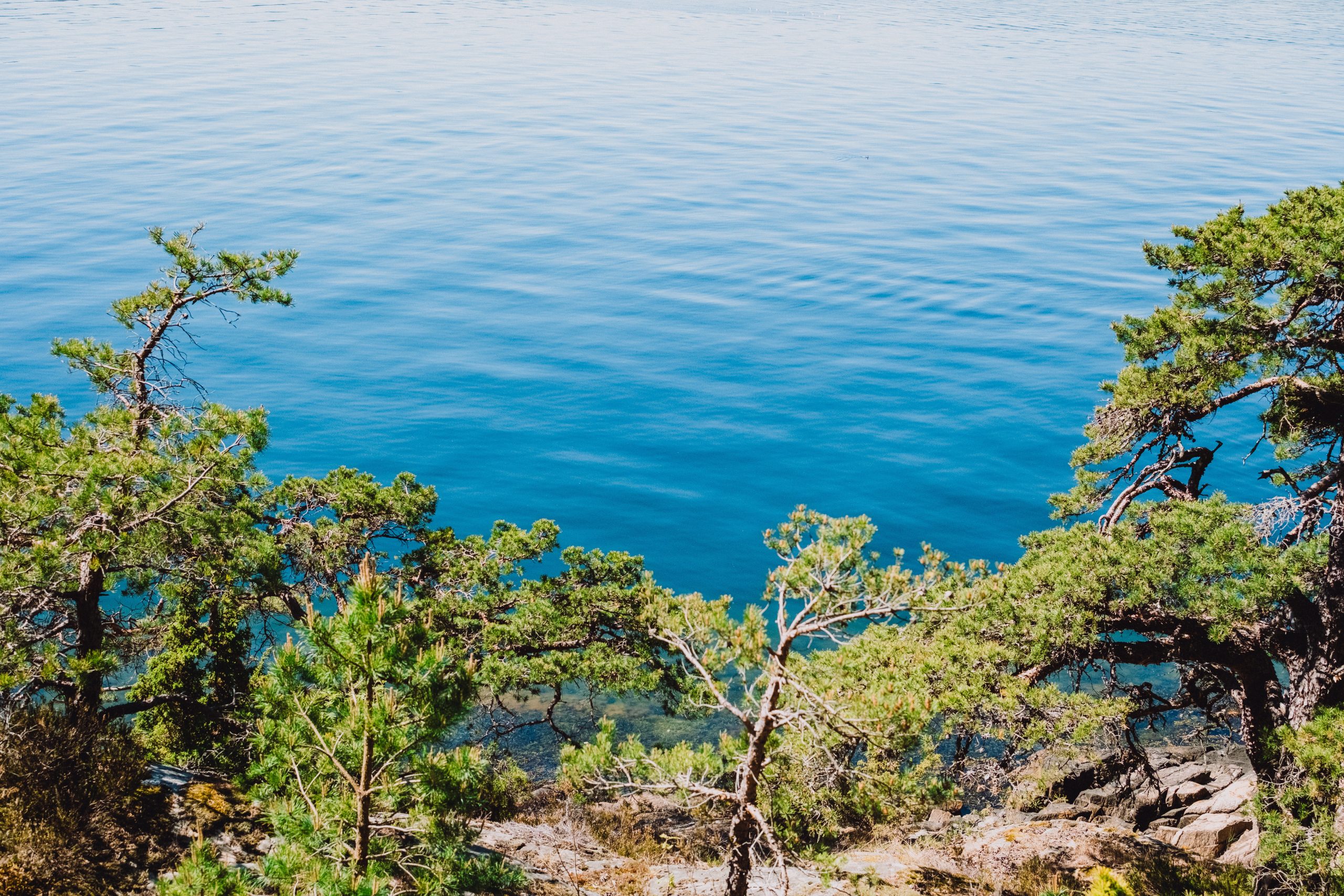 Kontaktinformasjon | Lagoya.no